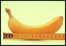 Erkek haysiyetinin uzatılması