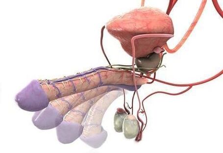 penis büyütme ameliyatı sonrası ereksiyon